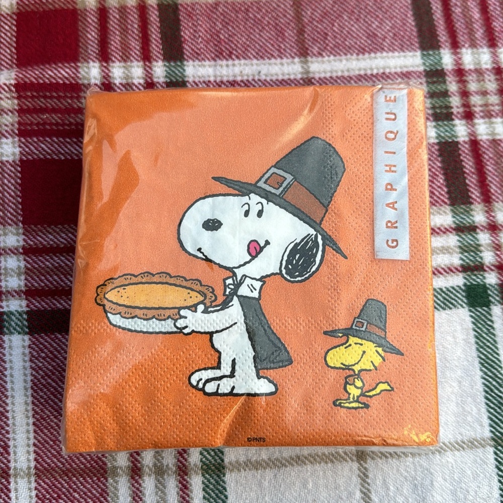 Snoopy Pilgrim cocktail napkins